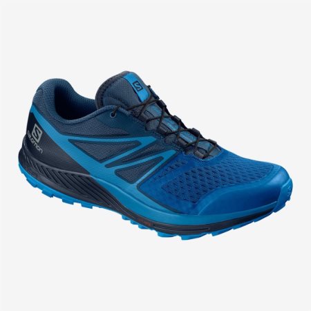 Salomon SENSE ESCAPE 2 Mens Trail Running Shoes Blue | Salomon South Africa